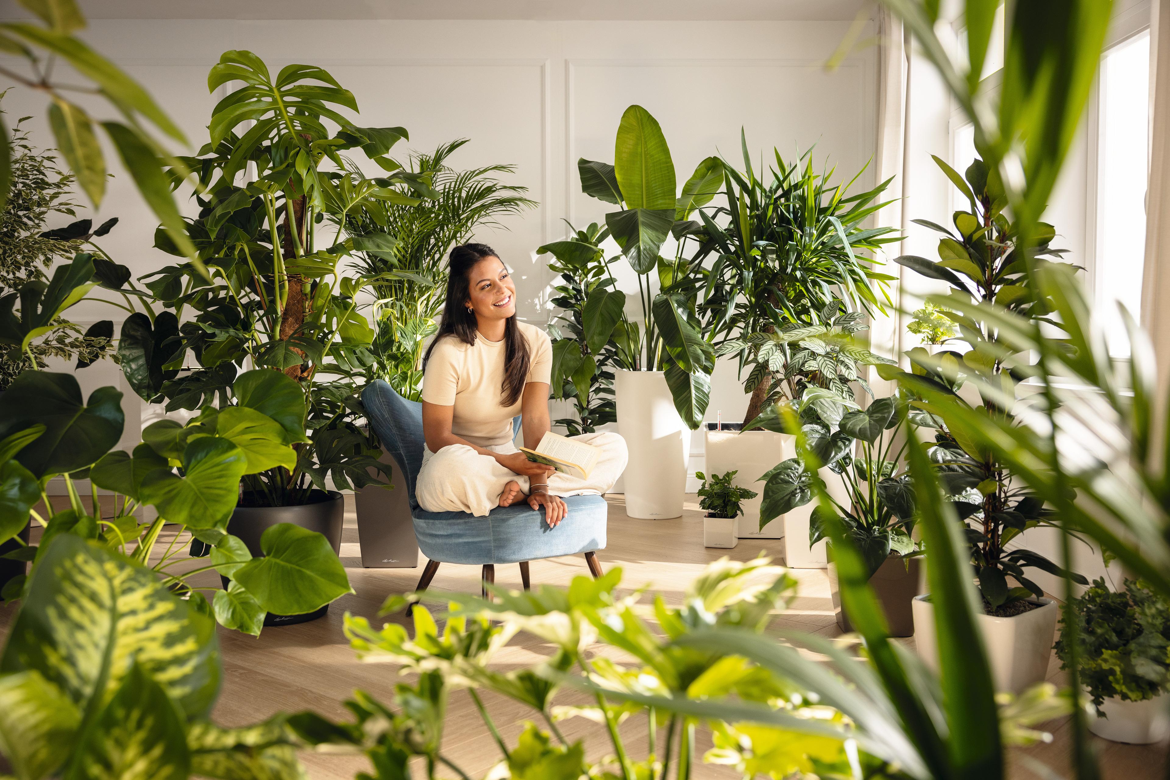 Stilvolle Herbstdeko mit LECHUZA