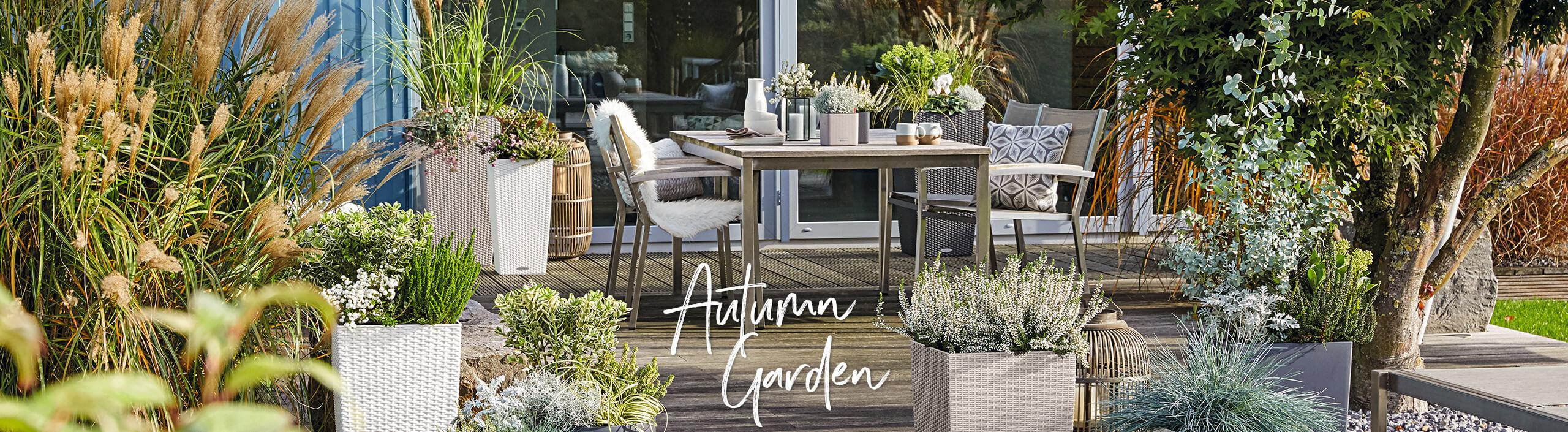 Стильный осенний декор с LECHUZA