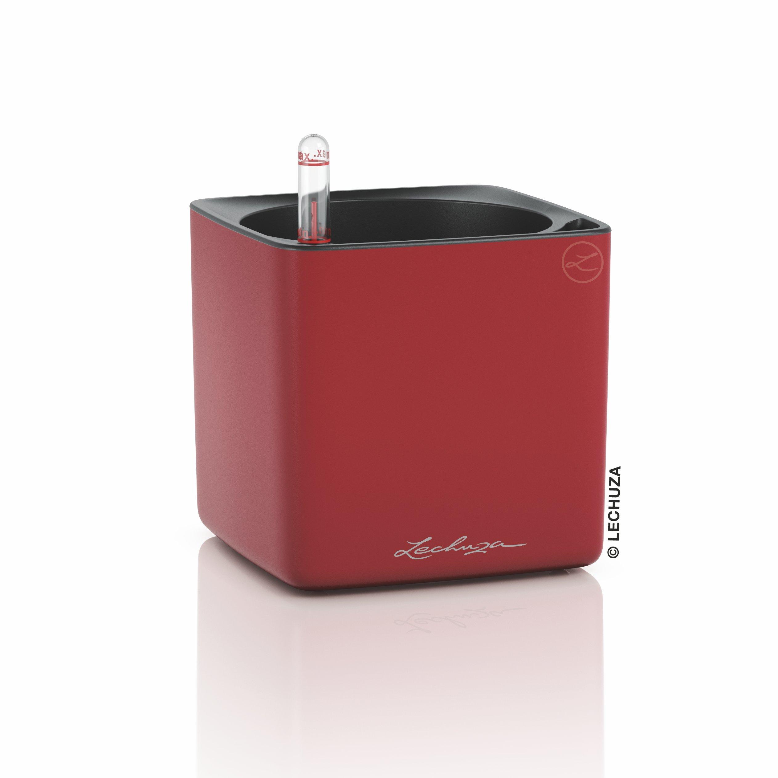CUBE Premium 14 scarlet red matt