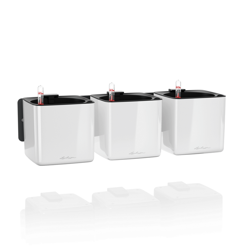 13523_product_image
