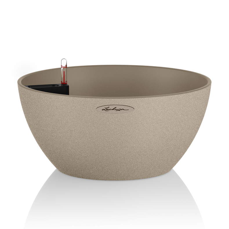 13831_product_image