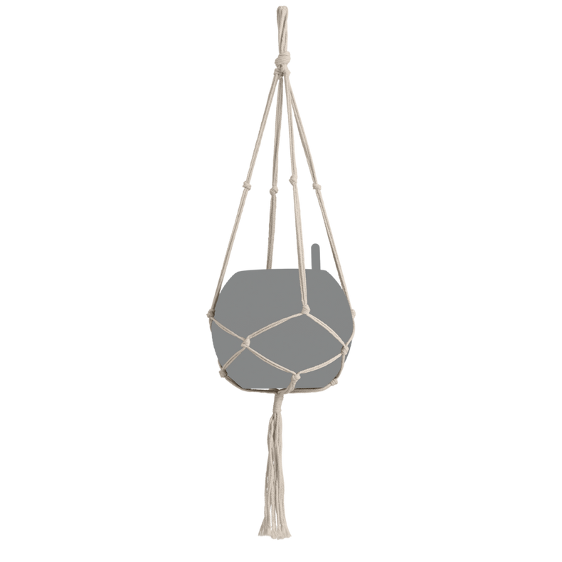 13894_product_image