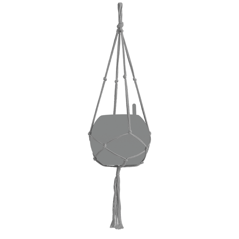 13895_product_image