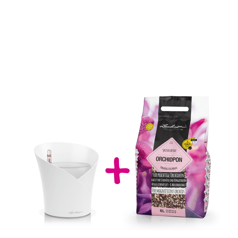 ORCHIDEA weiß matt + ORCHIDPON 6 Liter*