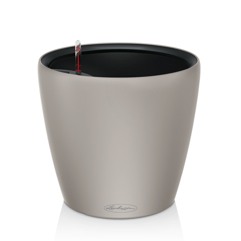 14262_product_image