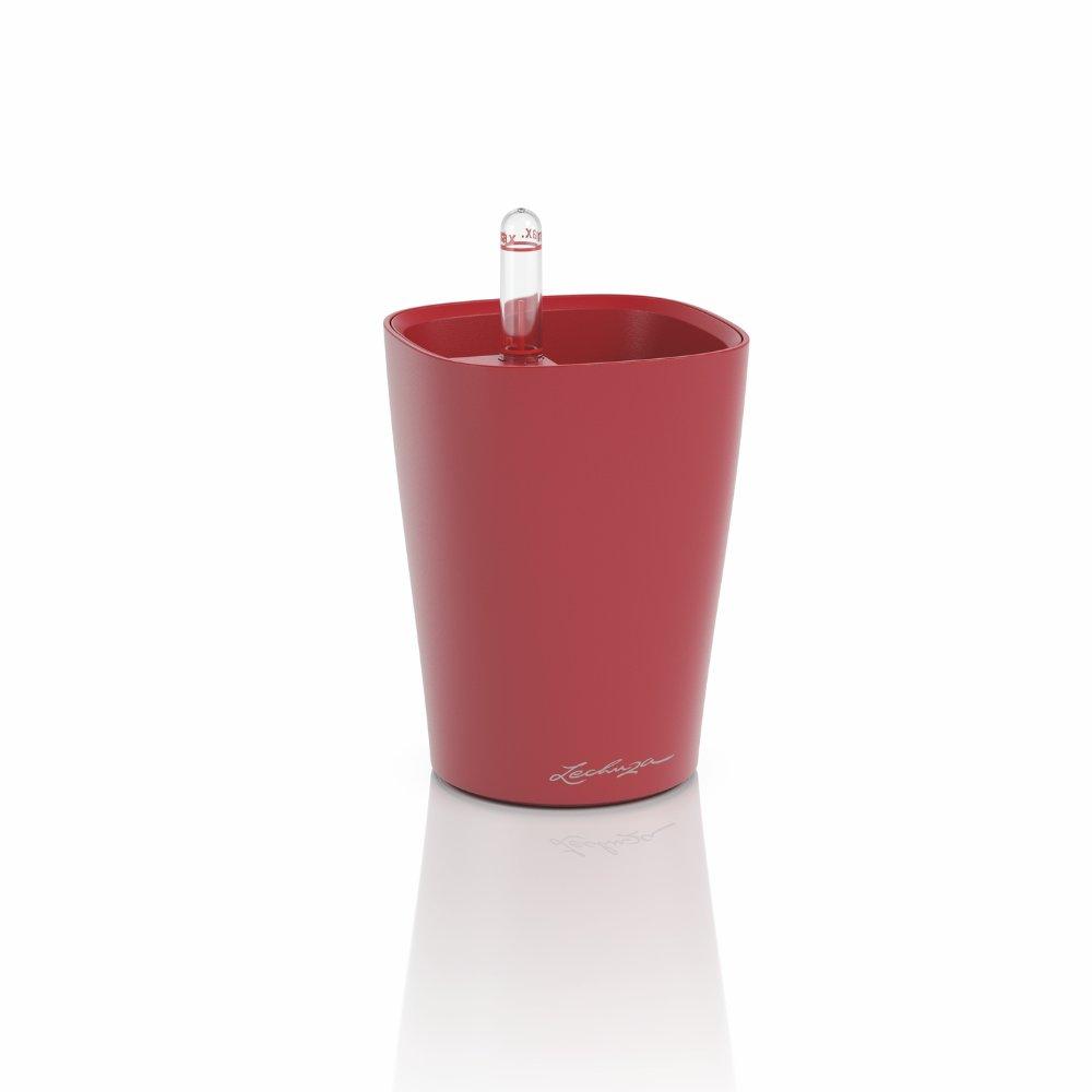 MINI-DELTINI Premium scarlet red matt