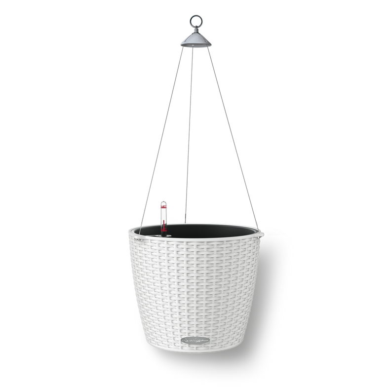 15190_product_image