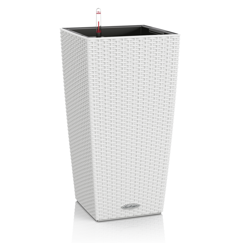 15226_product_image