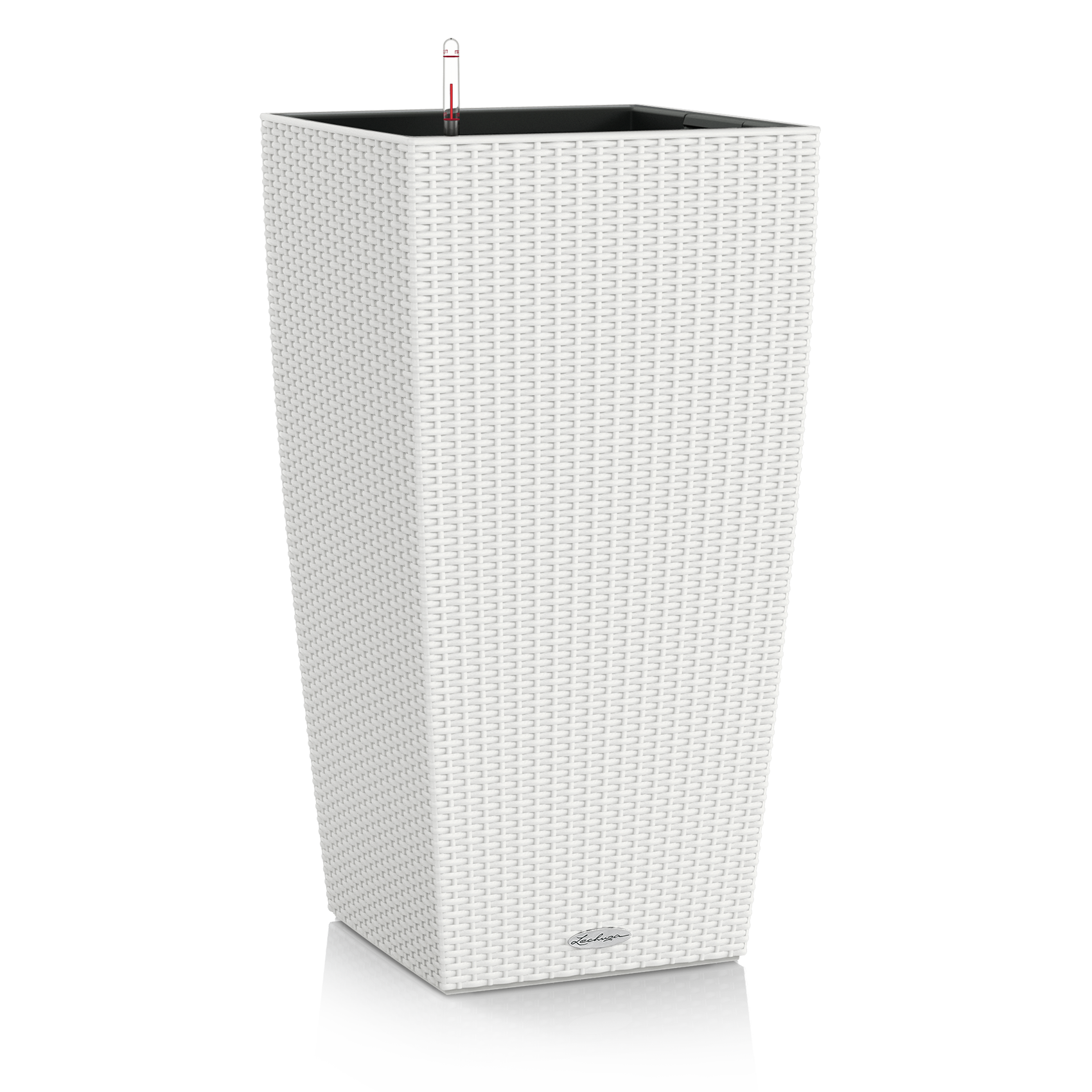 15246_product_image