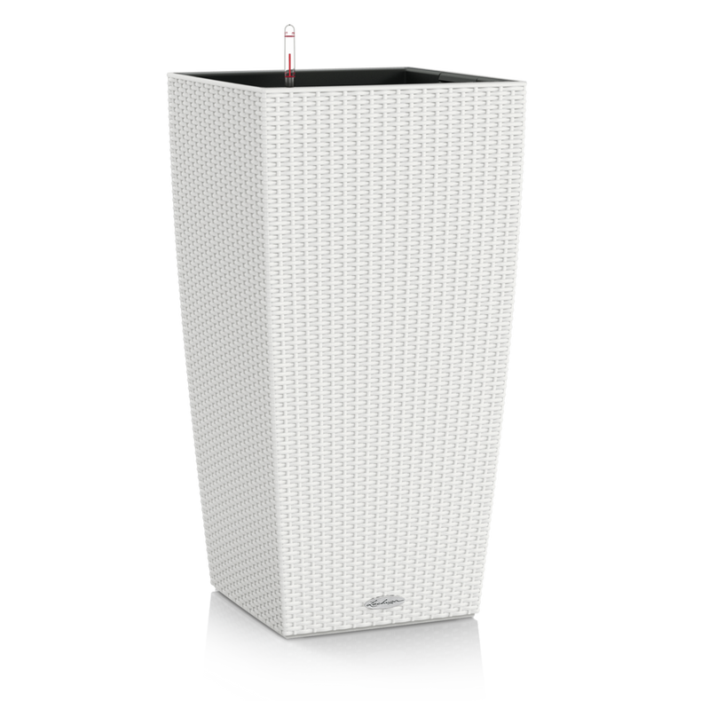 15246_product_image