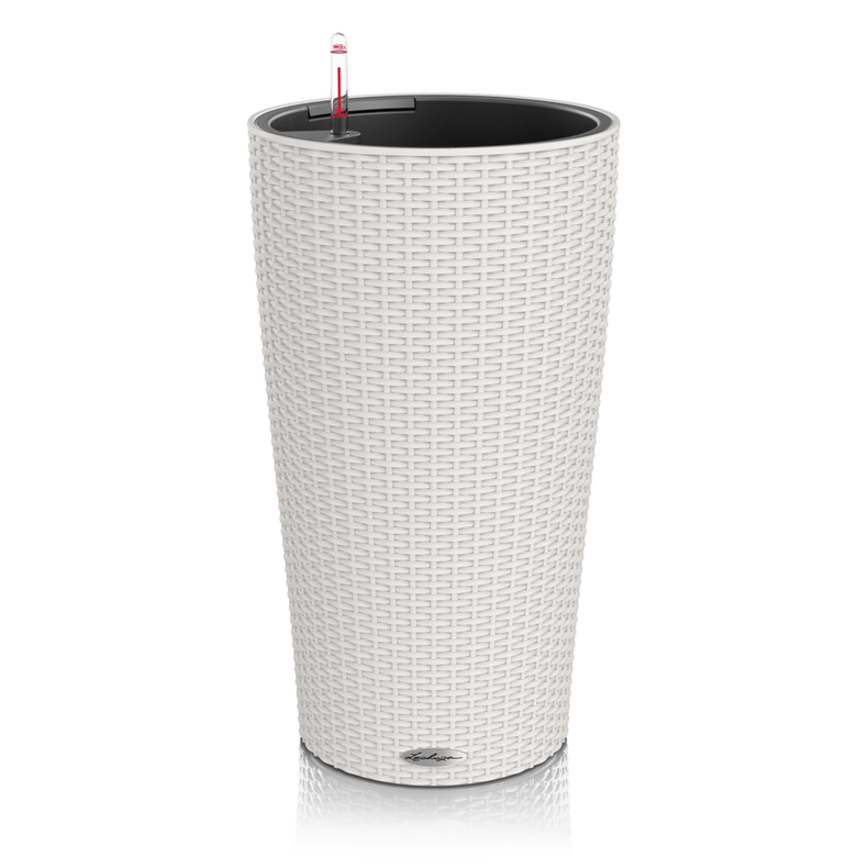 15362_product_image