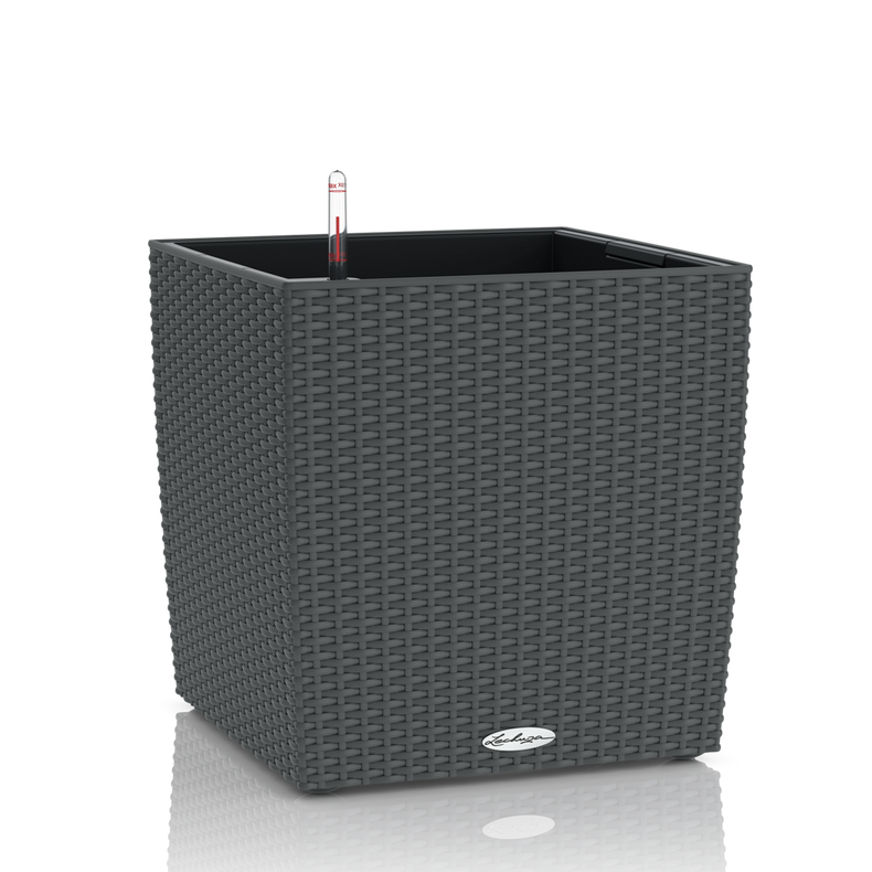 15372_product_image