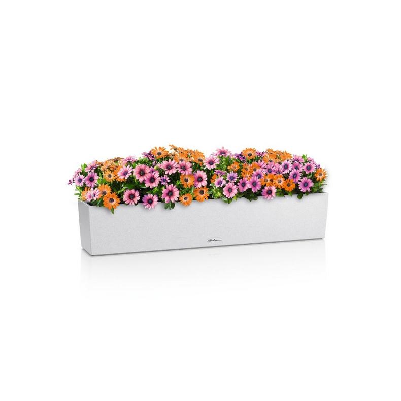 15435_product_image