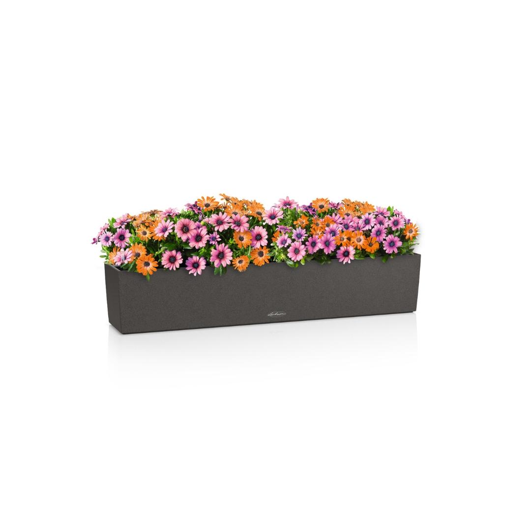 BALCONERA Stone 100 graphitschwarz