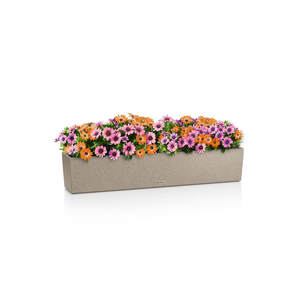 15437_product_image