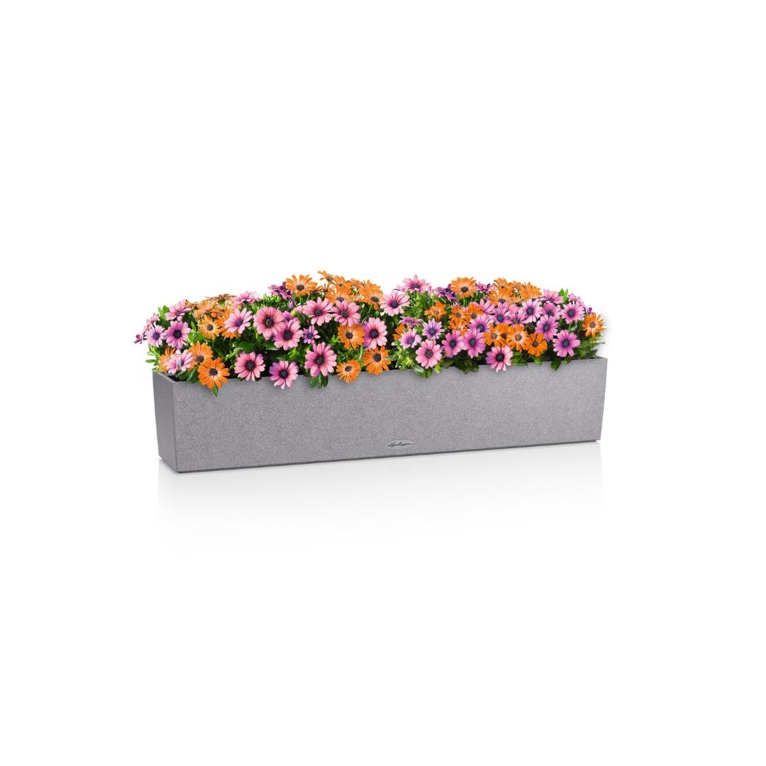 BALCONERA Stone 100 steingrau