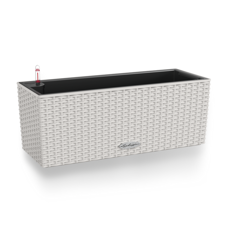 15447_product_image