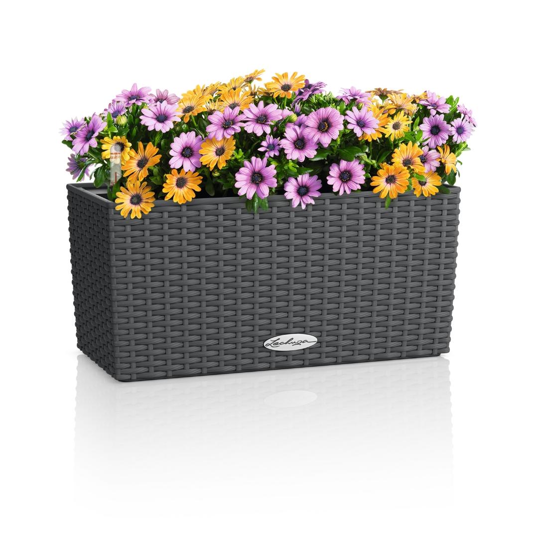 15471_product_image