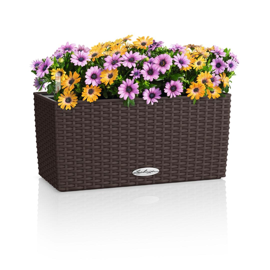 15472_product_image