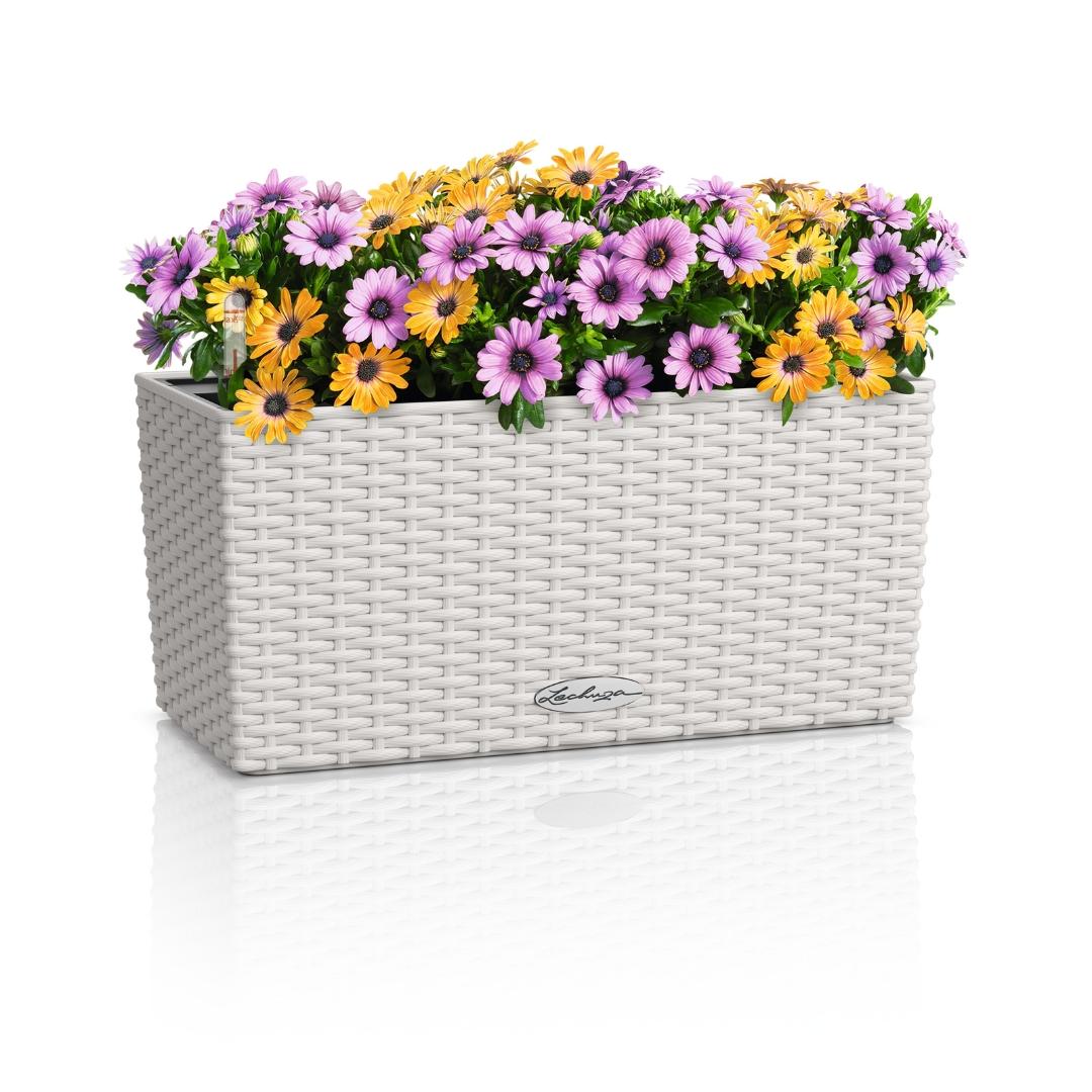15473_product_image