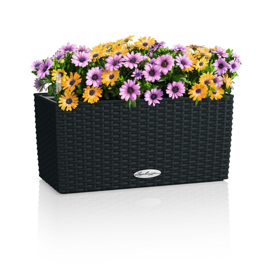 15475_product_image