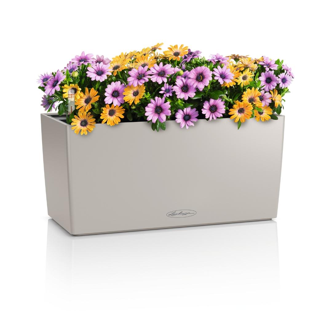 BALCONERA Color 40 brun sable