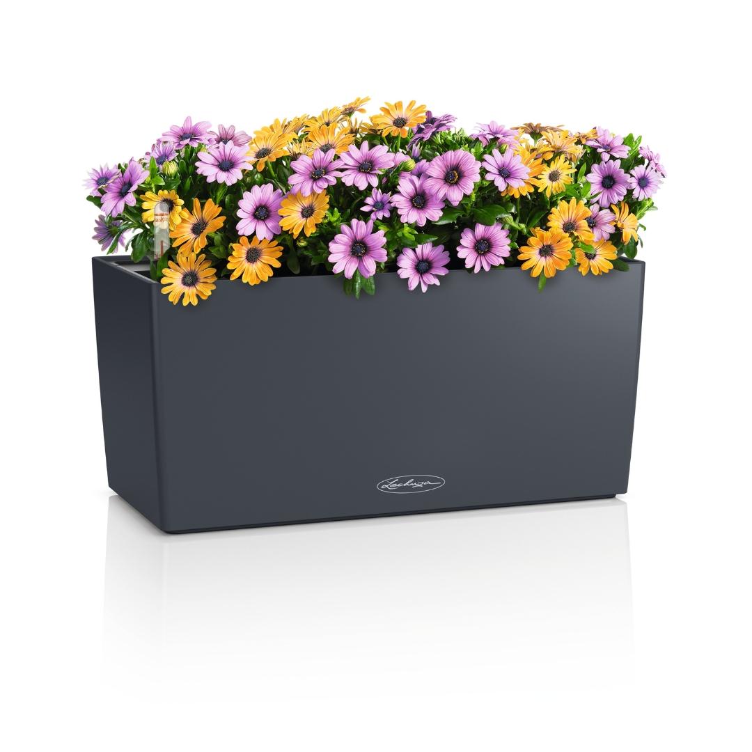 15478_product_image