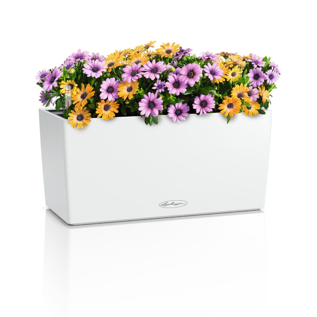 15479_product_image