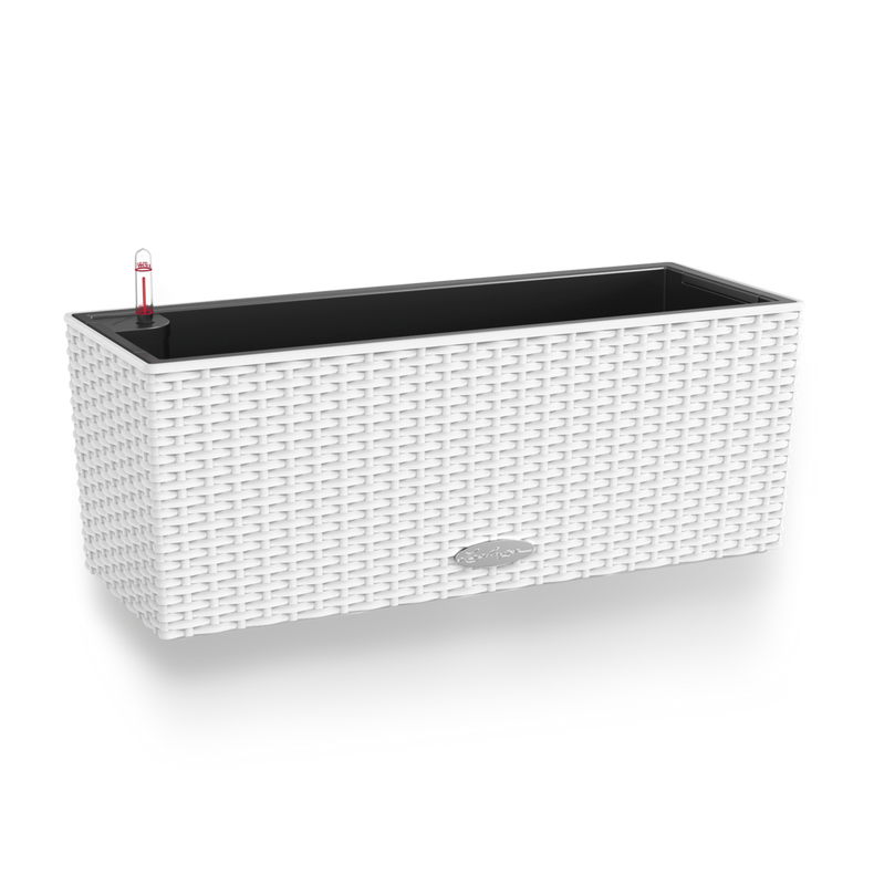 15600_product_image