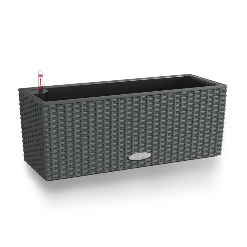 15602_product_image