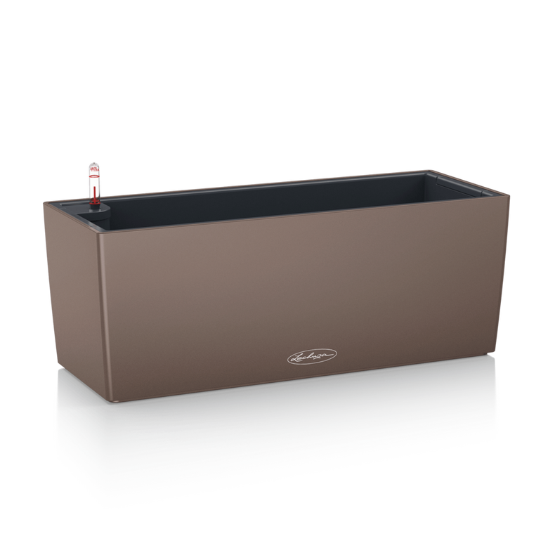 BALCONERA Color 50 muskat