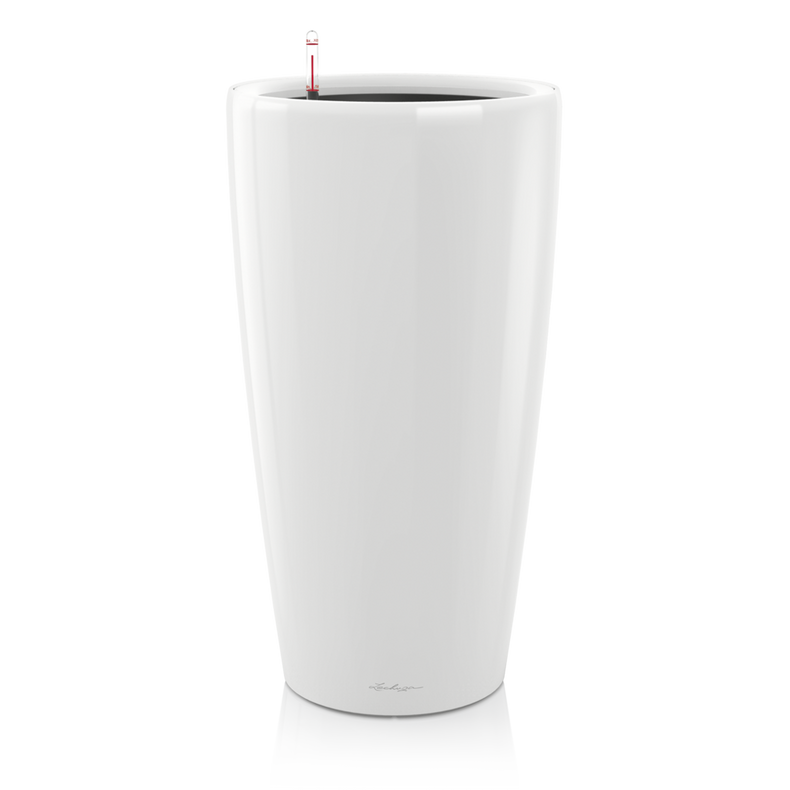 15780_product_image