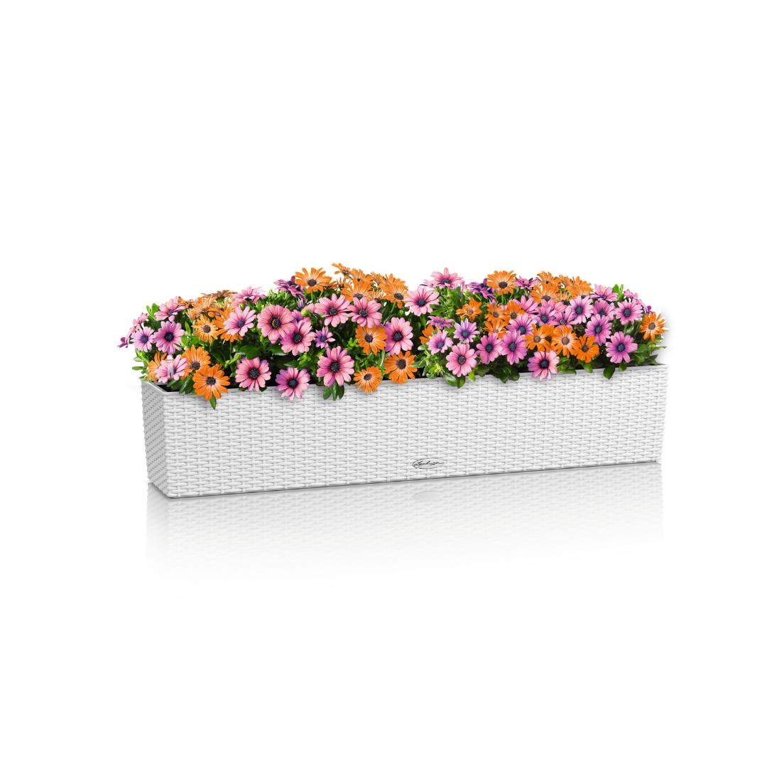 15910_product_image