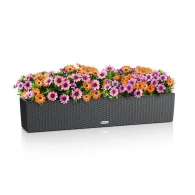BALCONERA Cottage 100 granit
