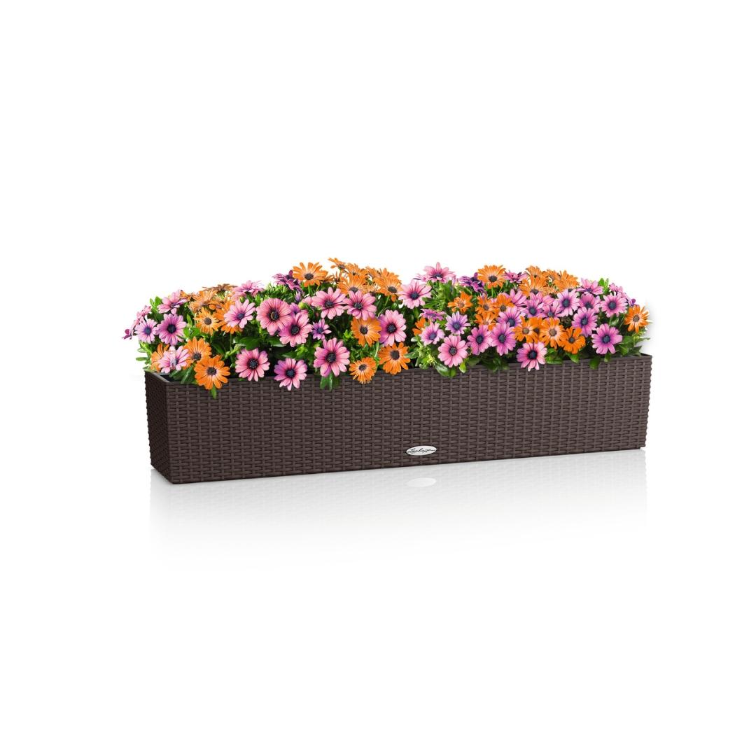 15912_product_image
