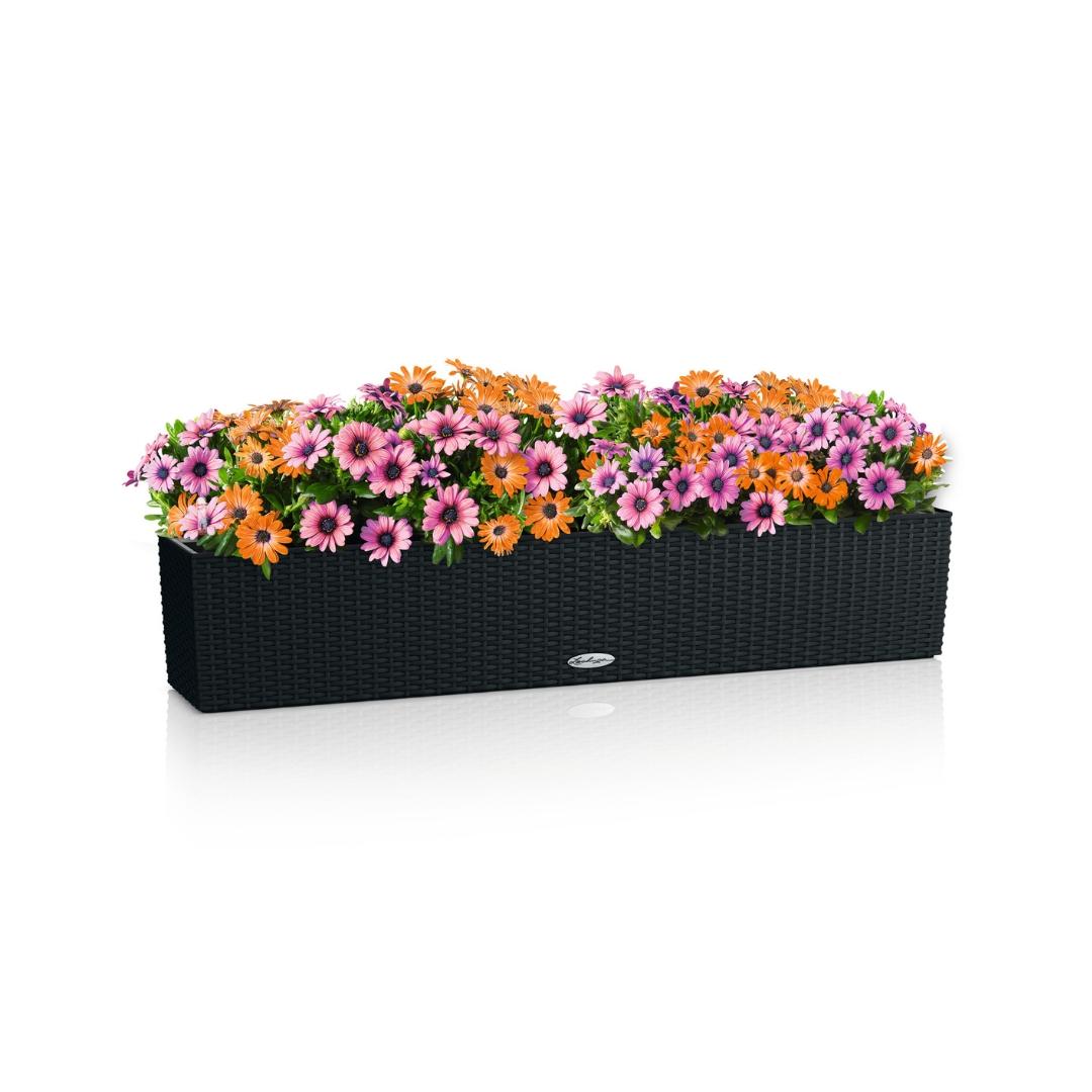 15915_product_image