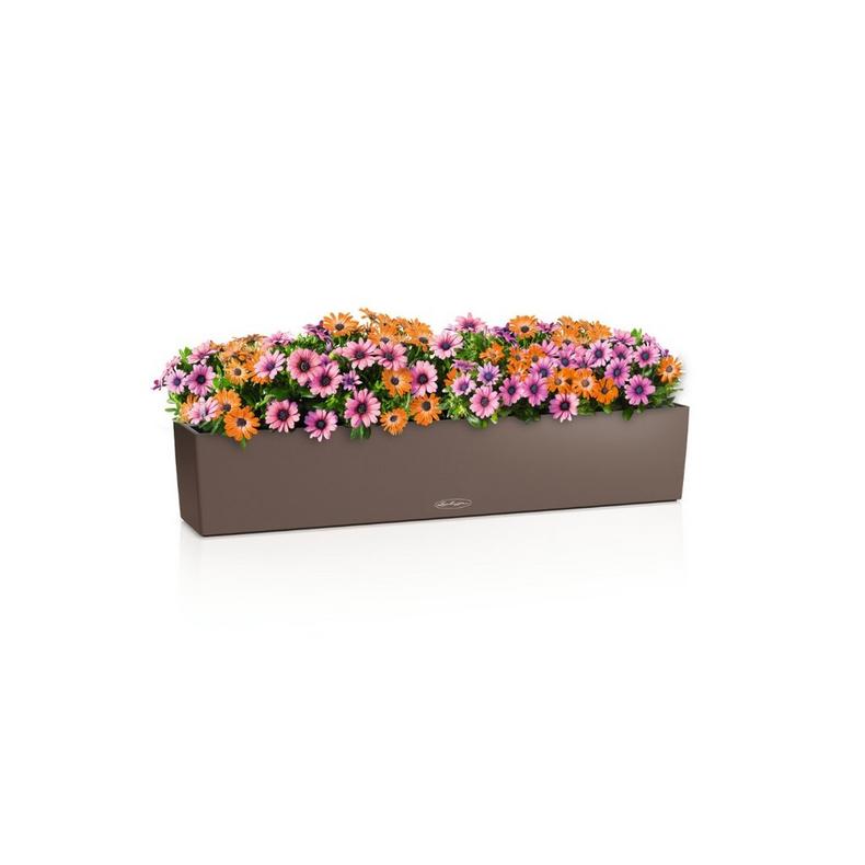 15916_product_image
