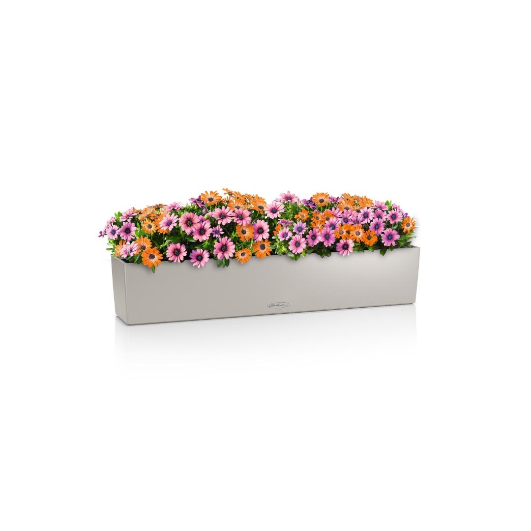 BALCONERA Color 100 brun sable