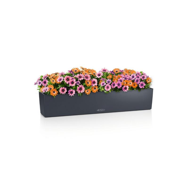 15918_product_image