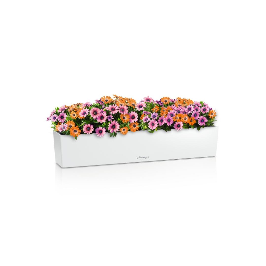 BALCONERA Color 100 white