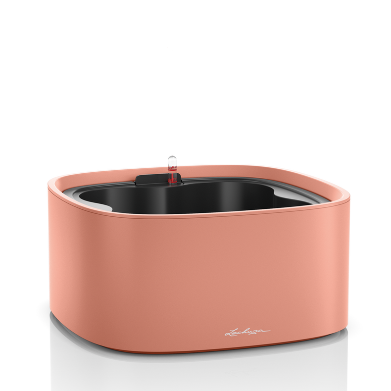 PILA Color Stick коралловый