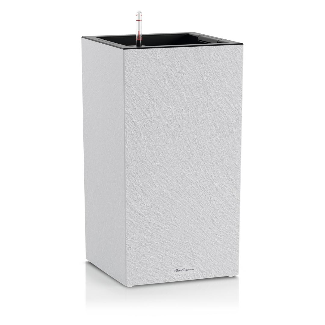 15955_product_image