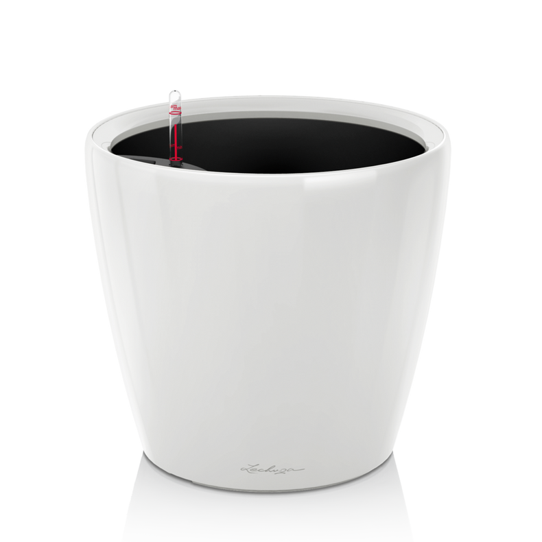 16040_product_image