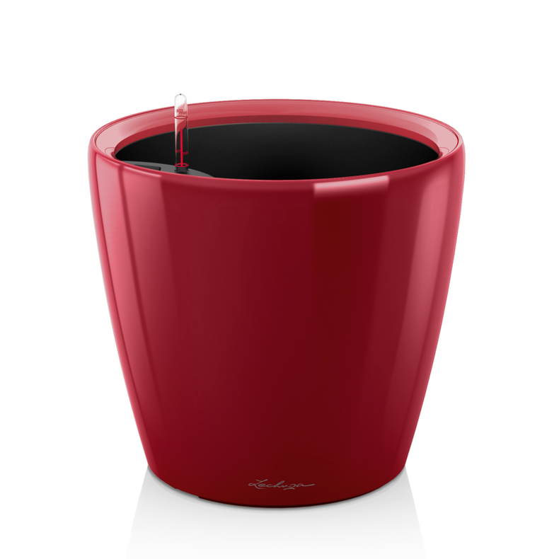 16047_product_image