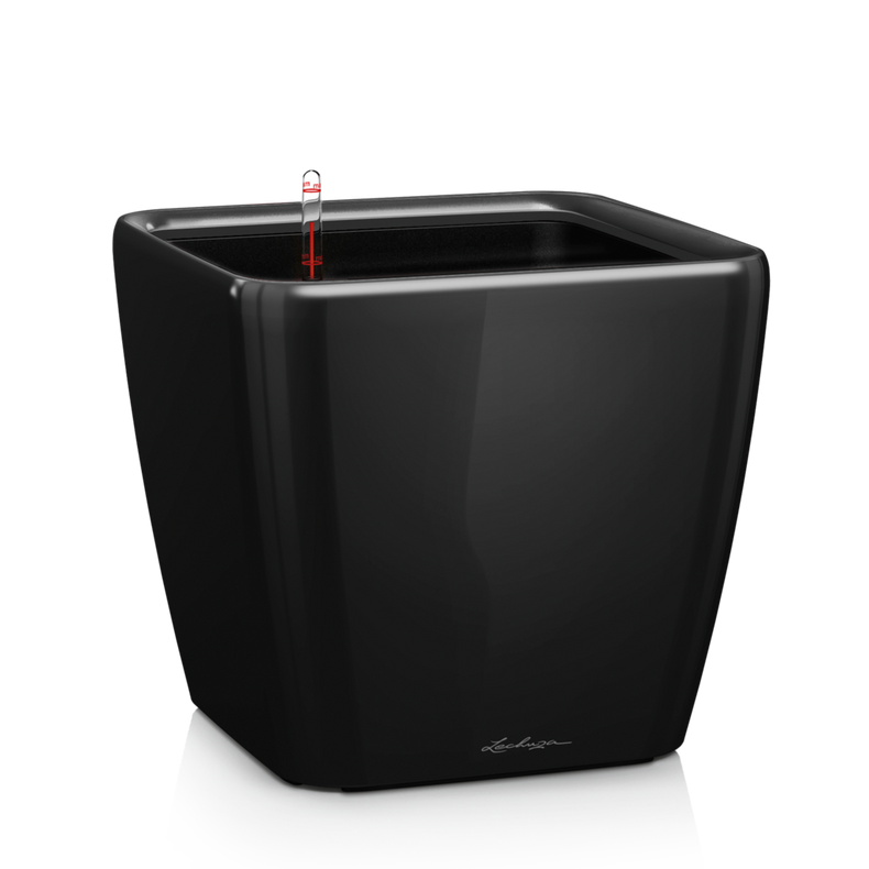 QUADRO LS 21 schwarz hochglanz