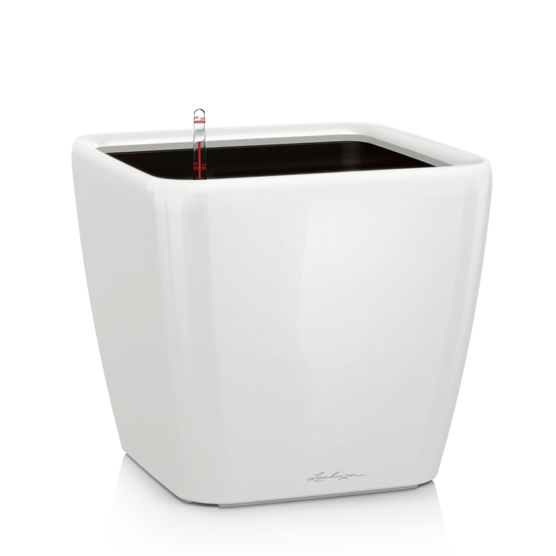 16140_product_image