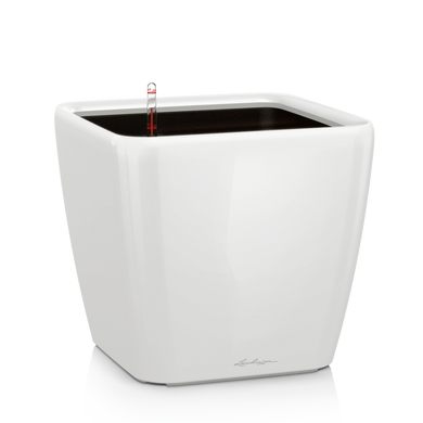 QUADRO LS 50 white high-gloss