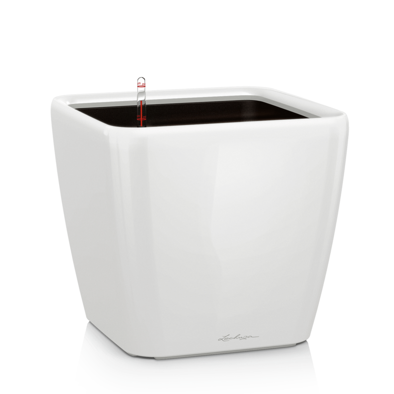 16280_product_image
