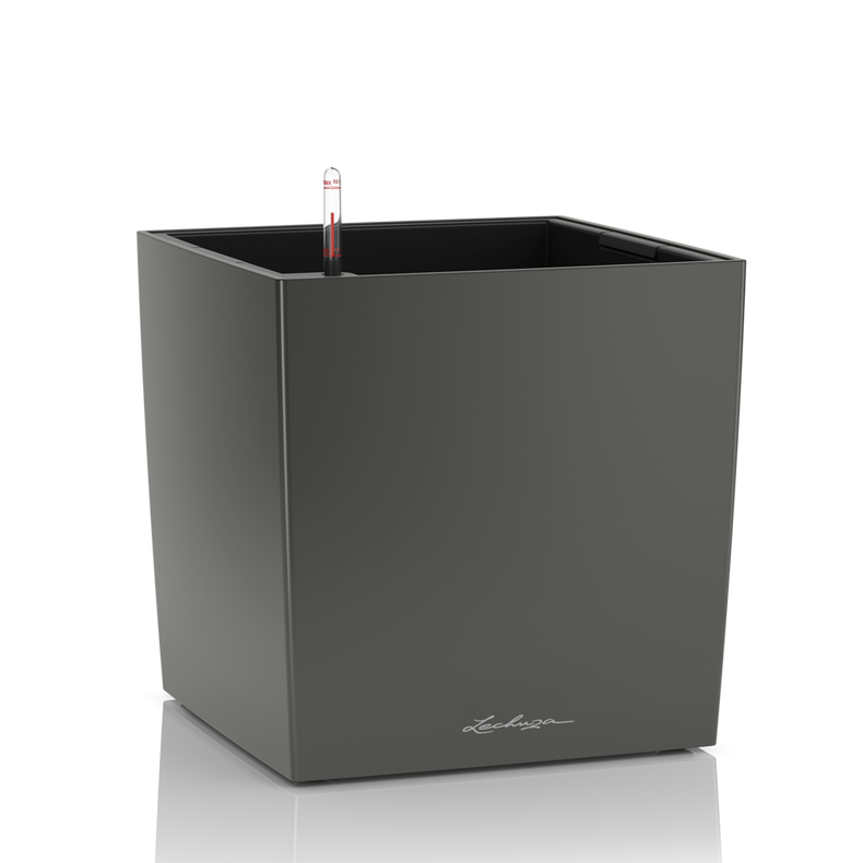 16463_product_image