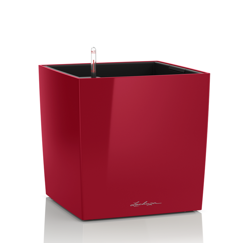 16467_product_image